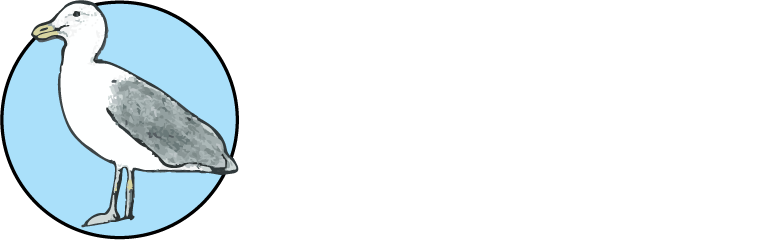 Seemore the Seagull